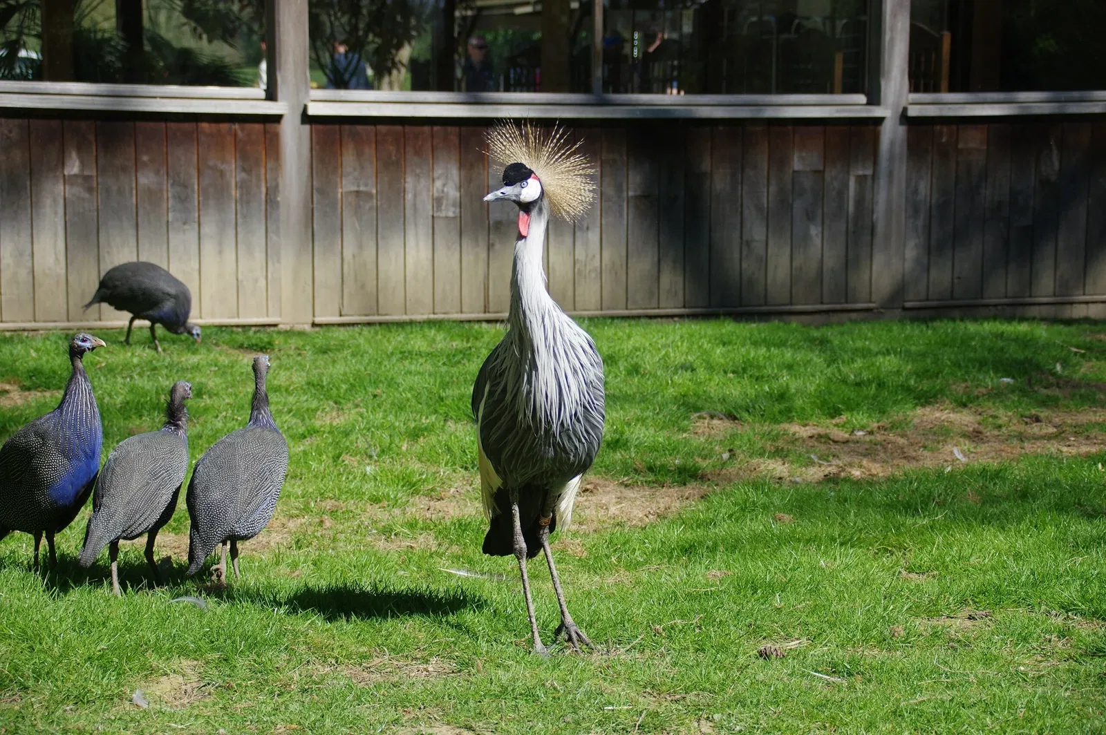 Château et Parc zoologique de la Bourbansais