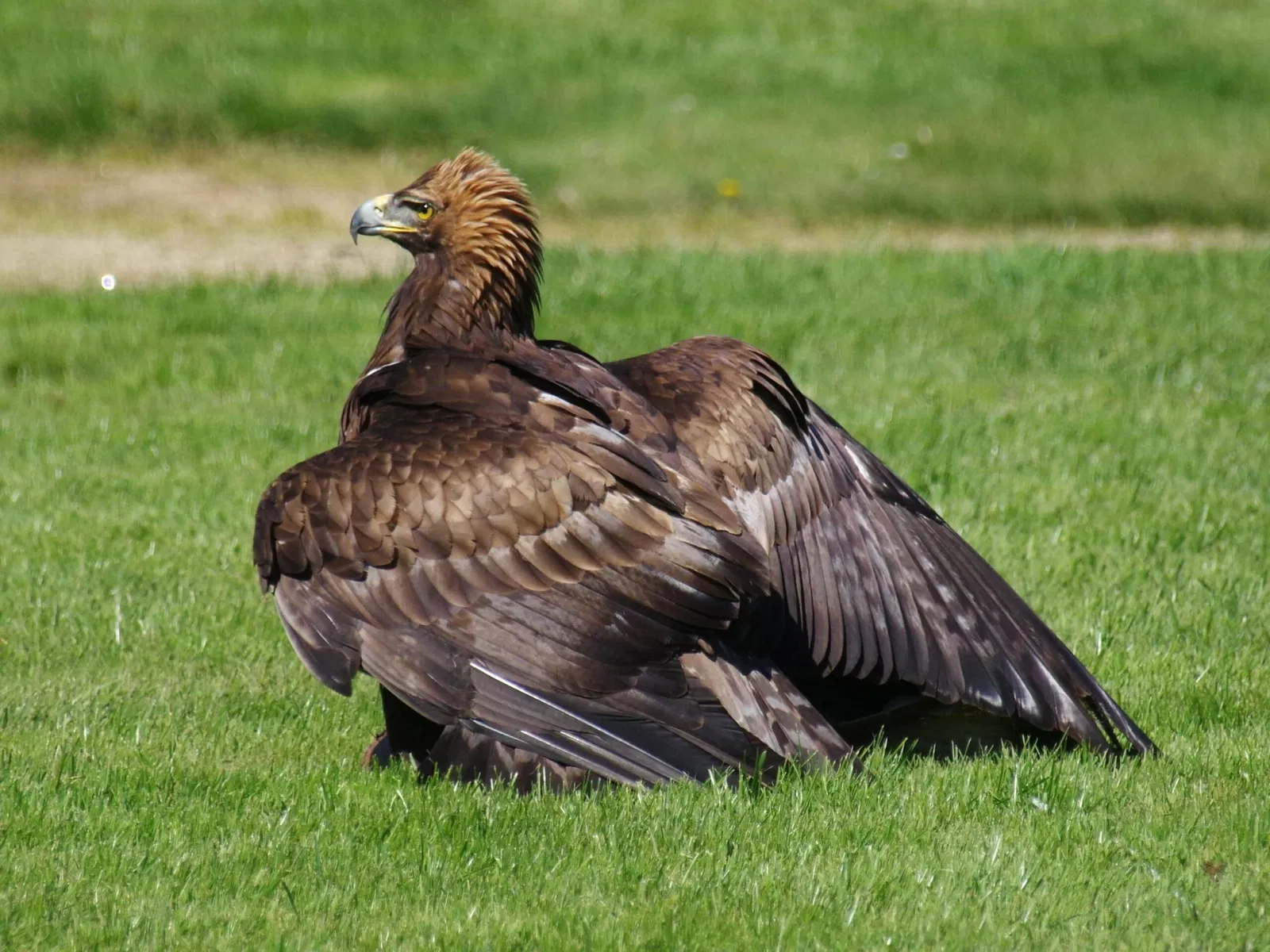 Château et Parc zoologique de la Bourbansais