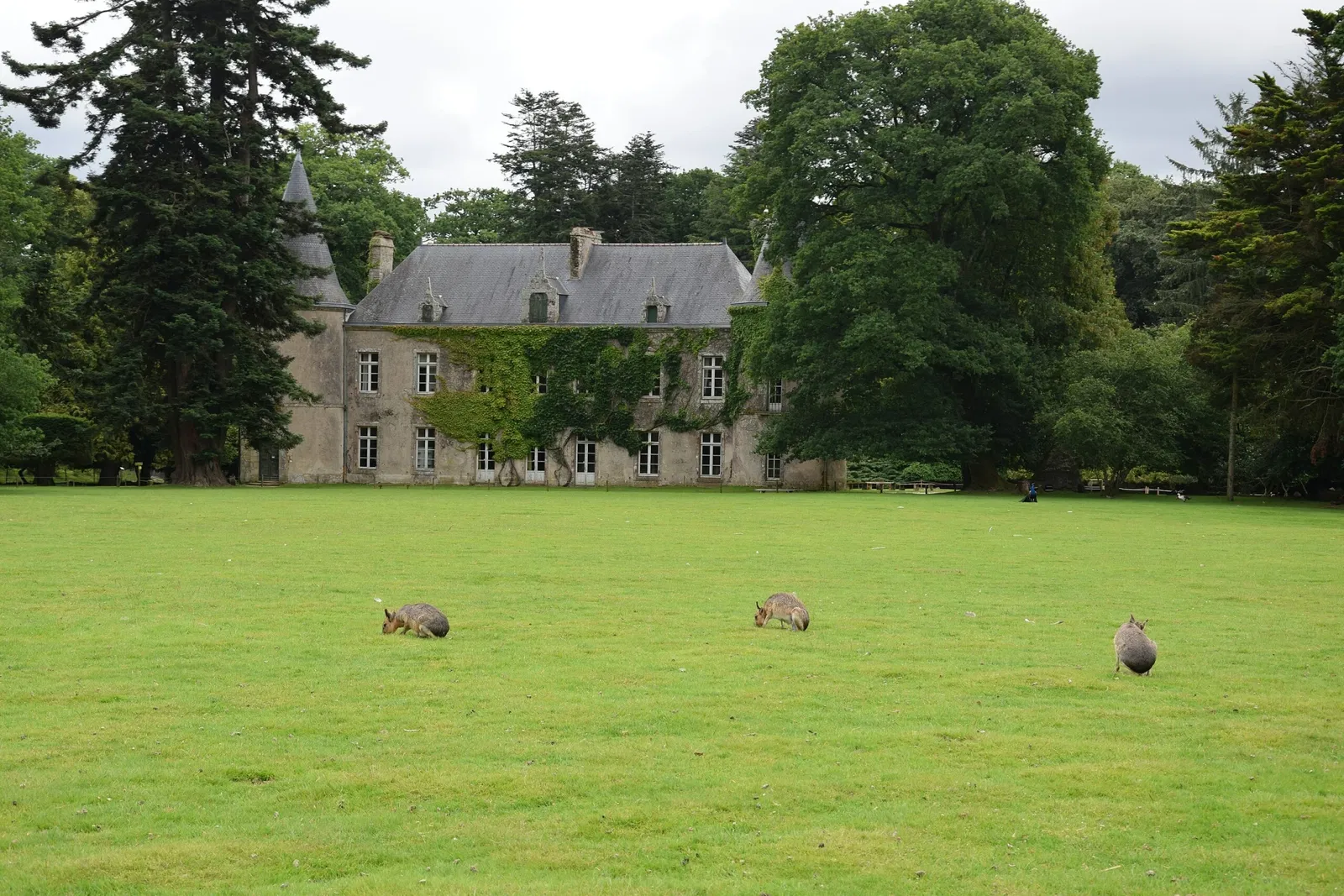 Parc animalier et botanique de Branféré