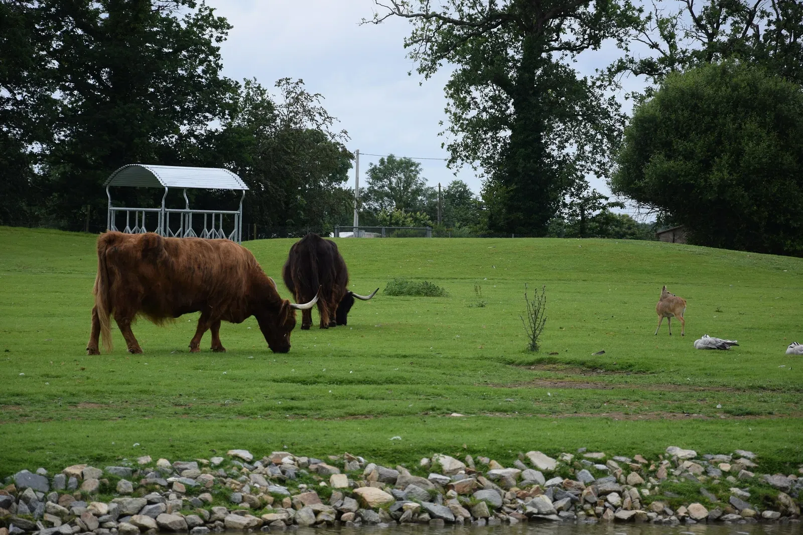 Parc animalier et botanique de Branféré