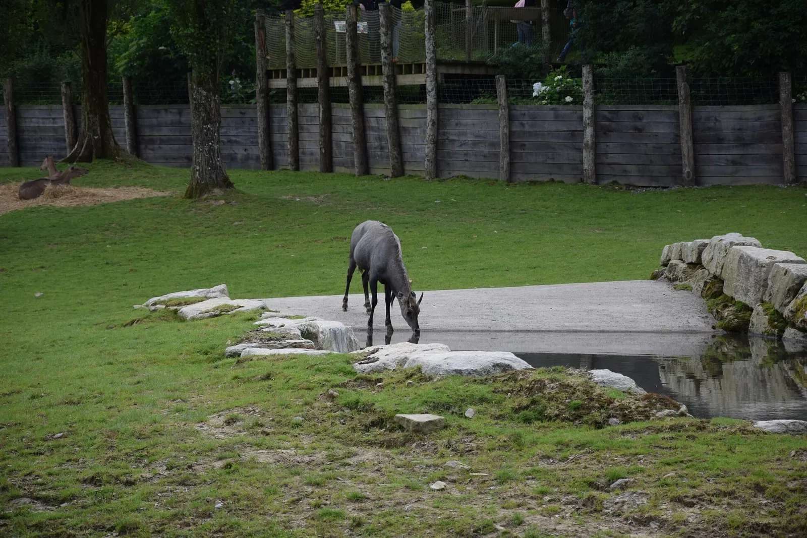 Parc animalier et botanique de Branféré
