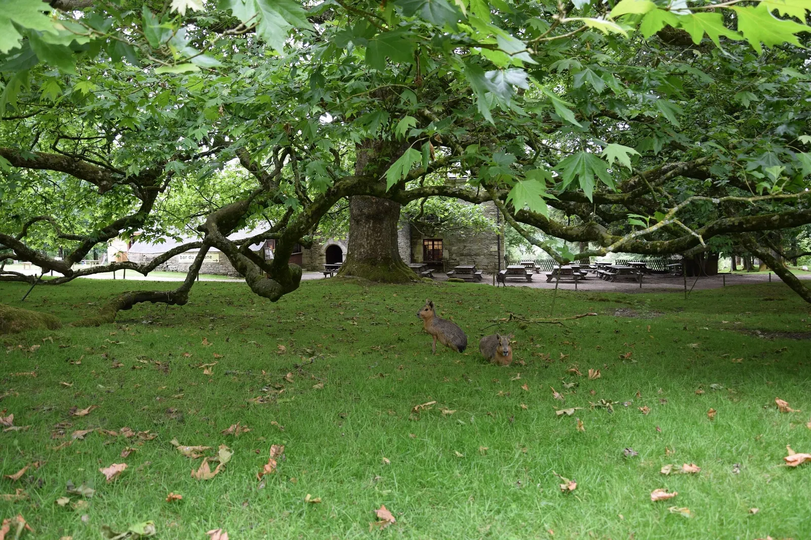 Zoo and Botanical Garden of Branféré