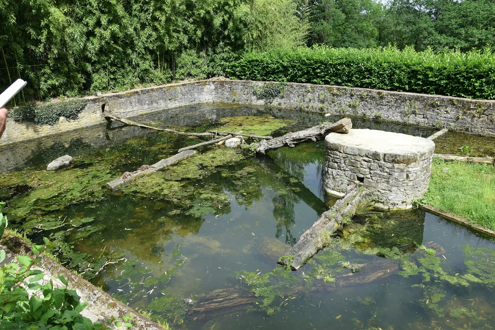 Parc animalier et botanique de Branféré