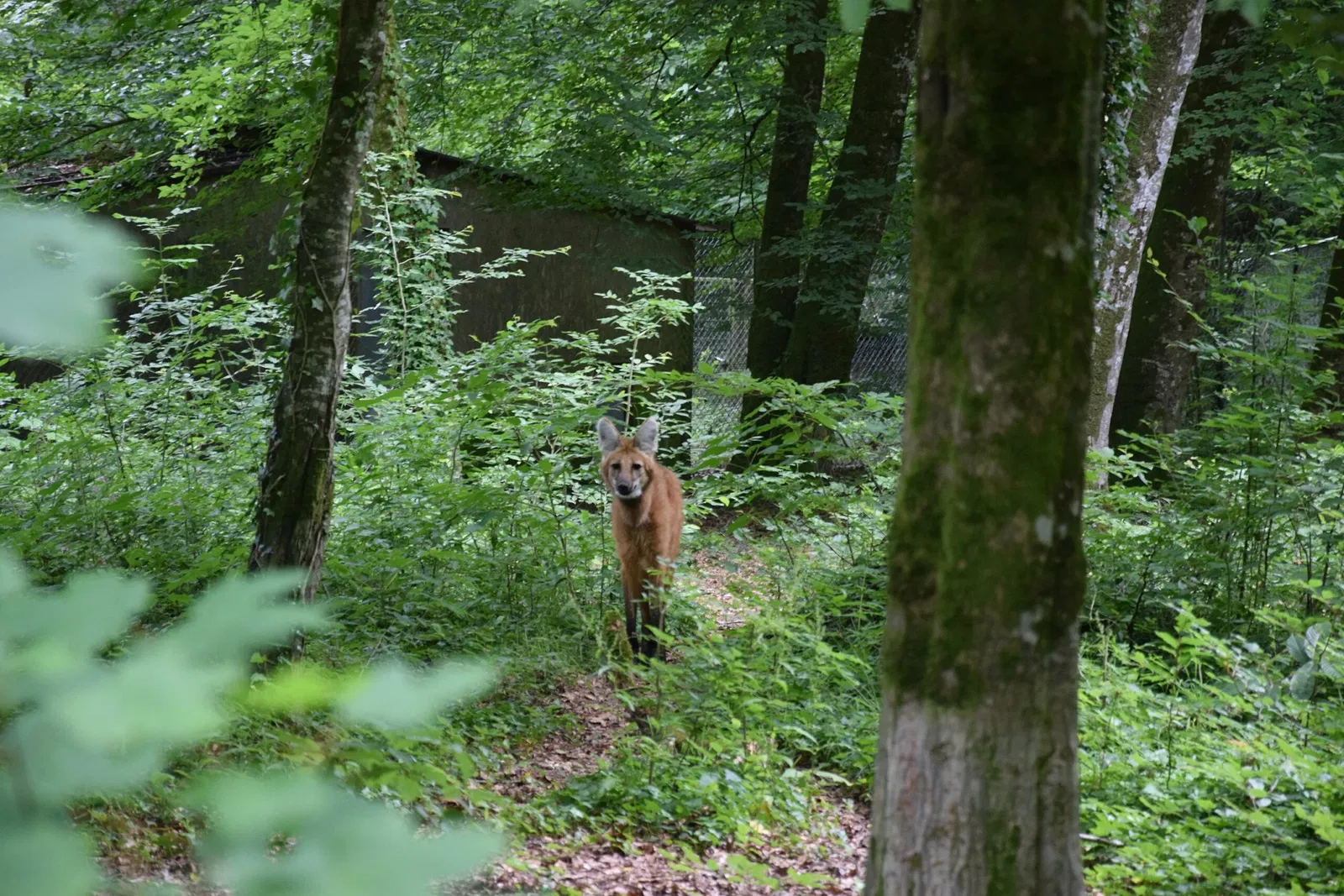 Zoo and Botanical Garden of Branféré