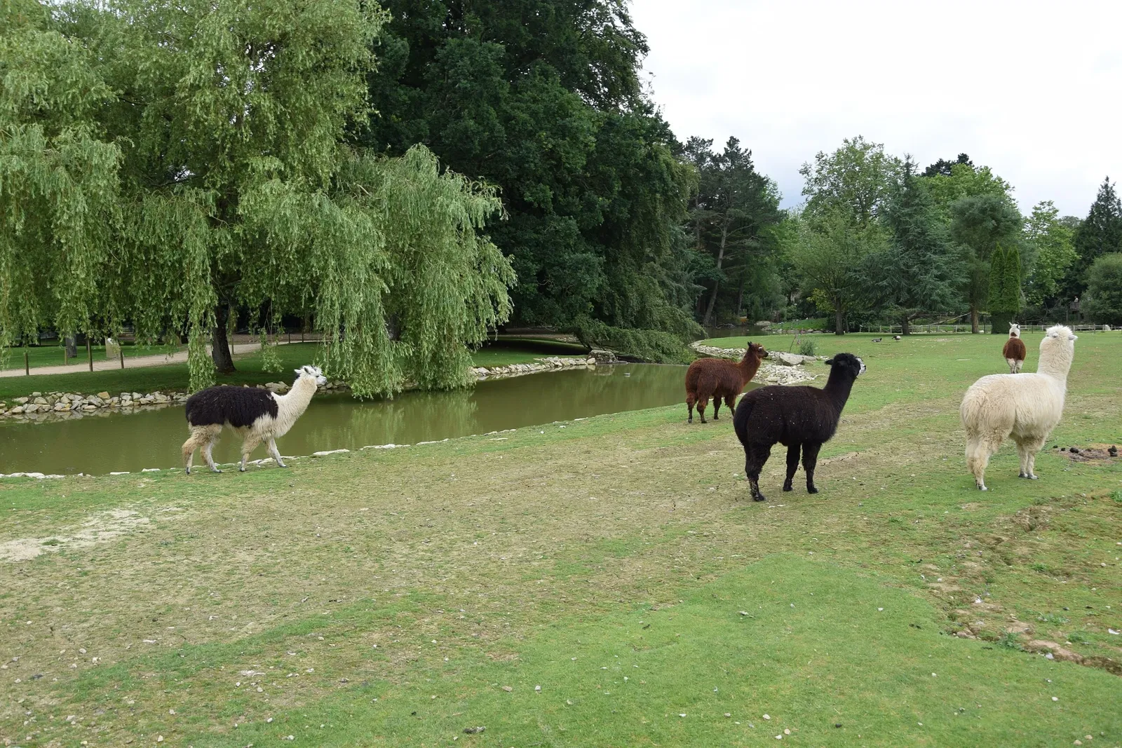 Zoo and Botanical Garden of Branféré