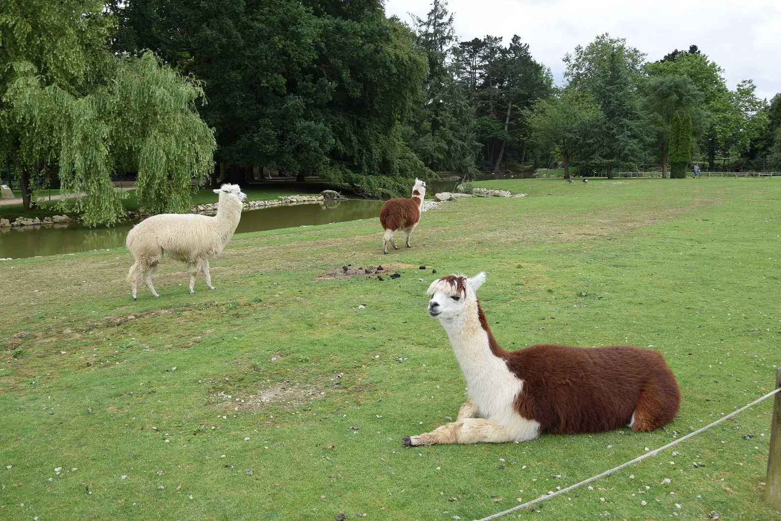 Zoo and Botanical Garden of Branféré