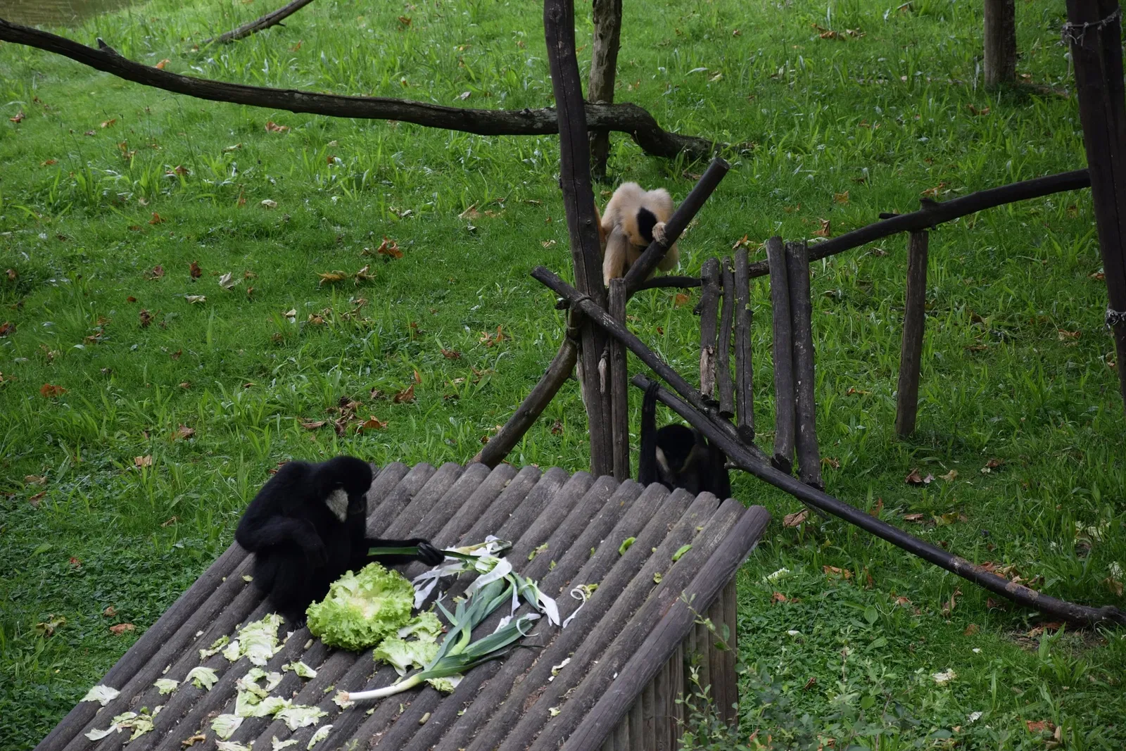 Zoo and Botanical Garden of Branféré