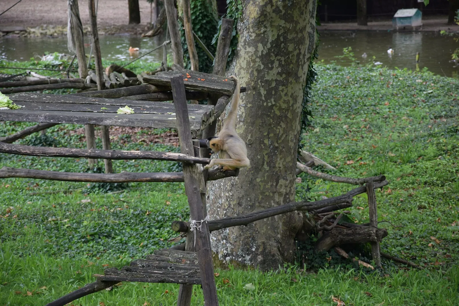 Zoo and Botanical Garden of Branféré