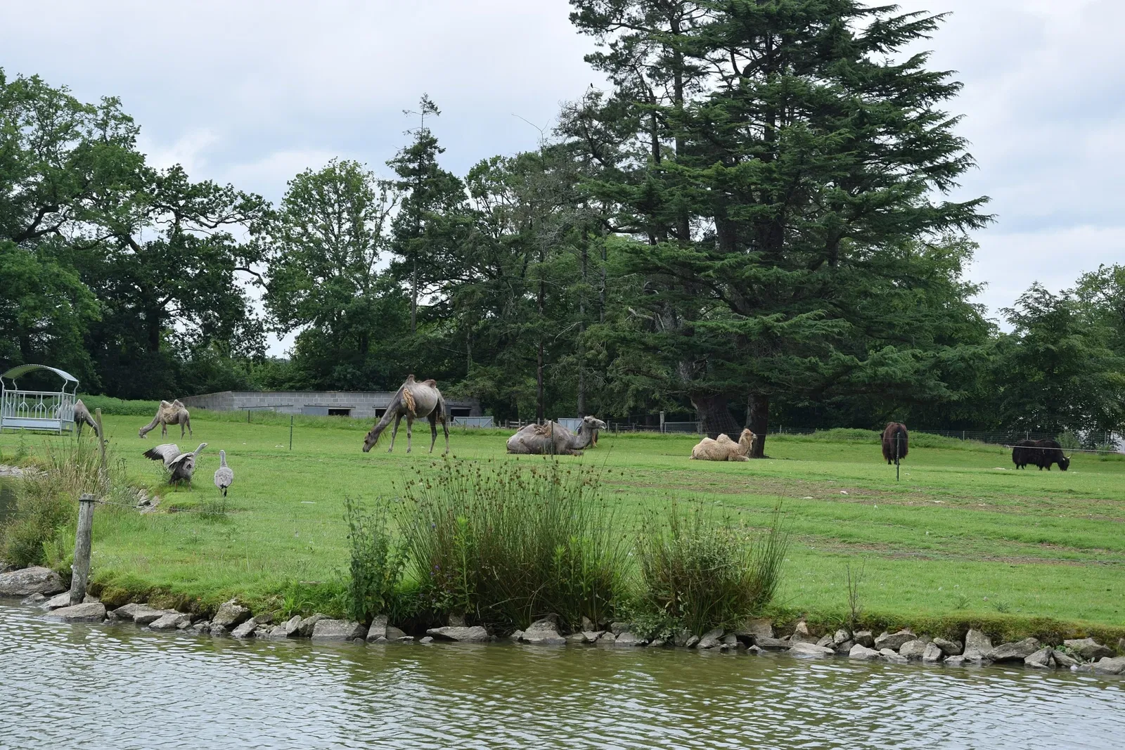 Parc animalier et botanique de Branféré