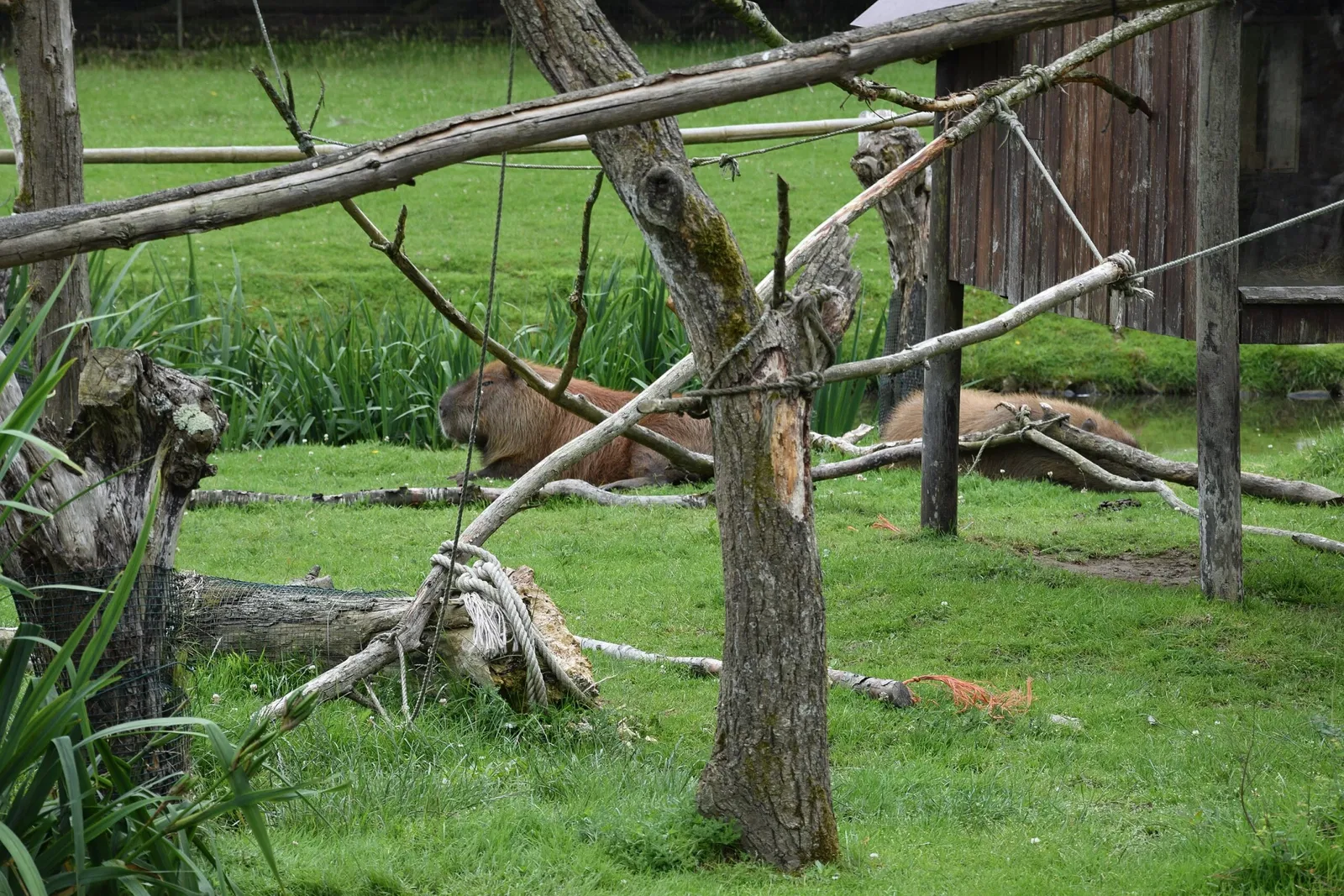 Parc animalier et botanique de Branféré