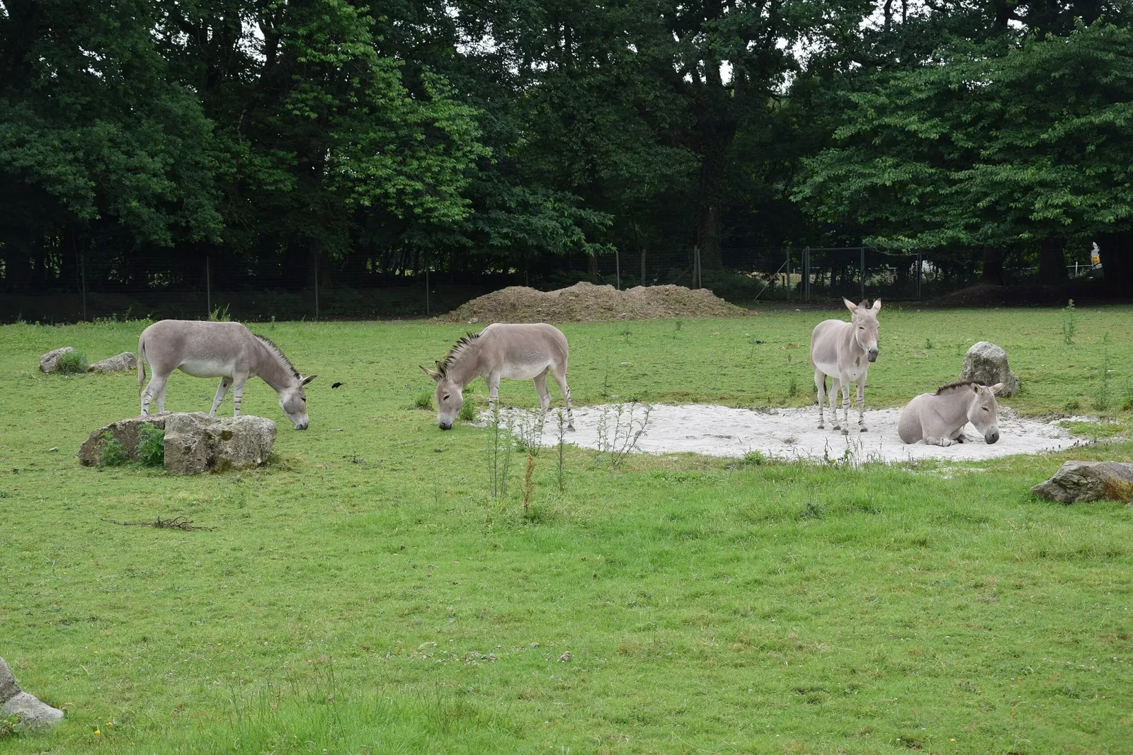 Zoo and Botanical Garden of Branféré