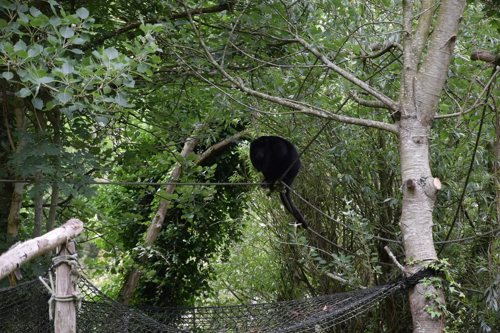 Zoo and Botanical Garden of Branféré