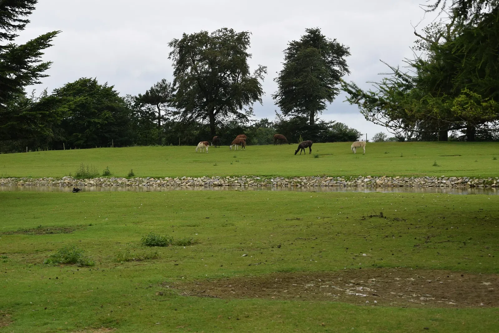 Parc animalier et botanique de Branféré