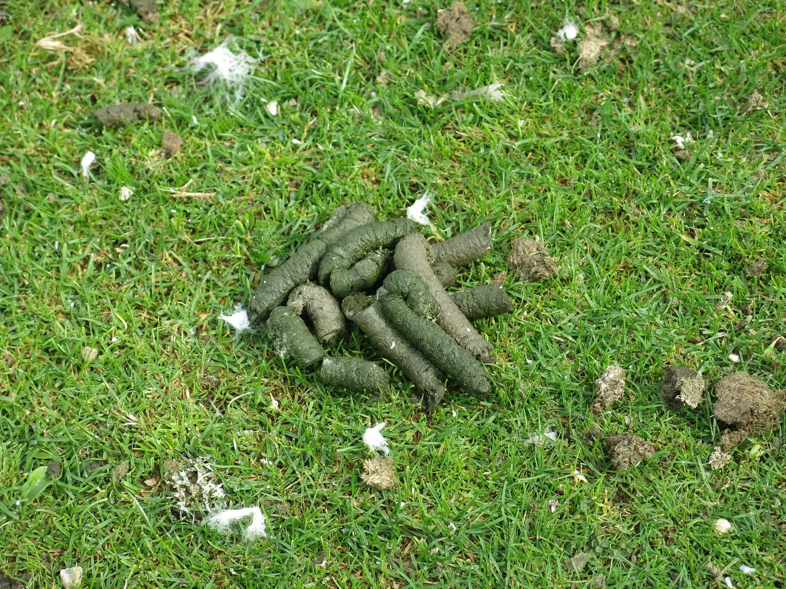 Zoo and Botanical Garden of Branféré