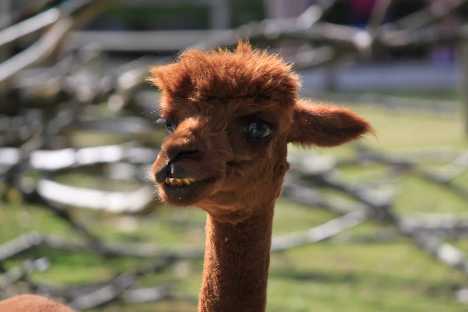 Zoo and Botanical Garden of Branféré