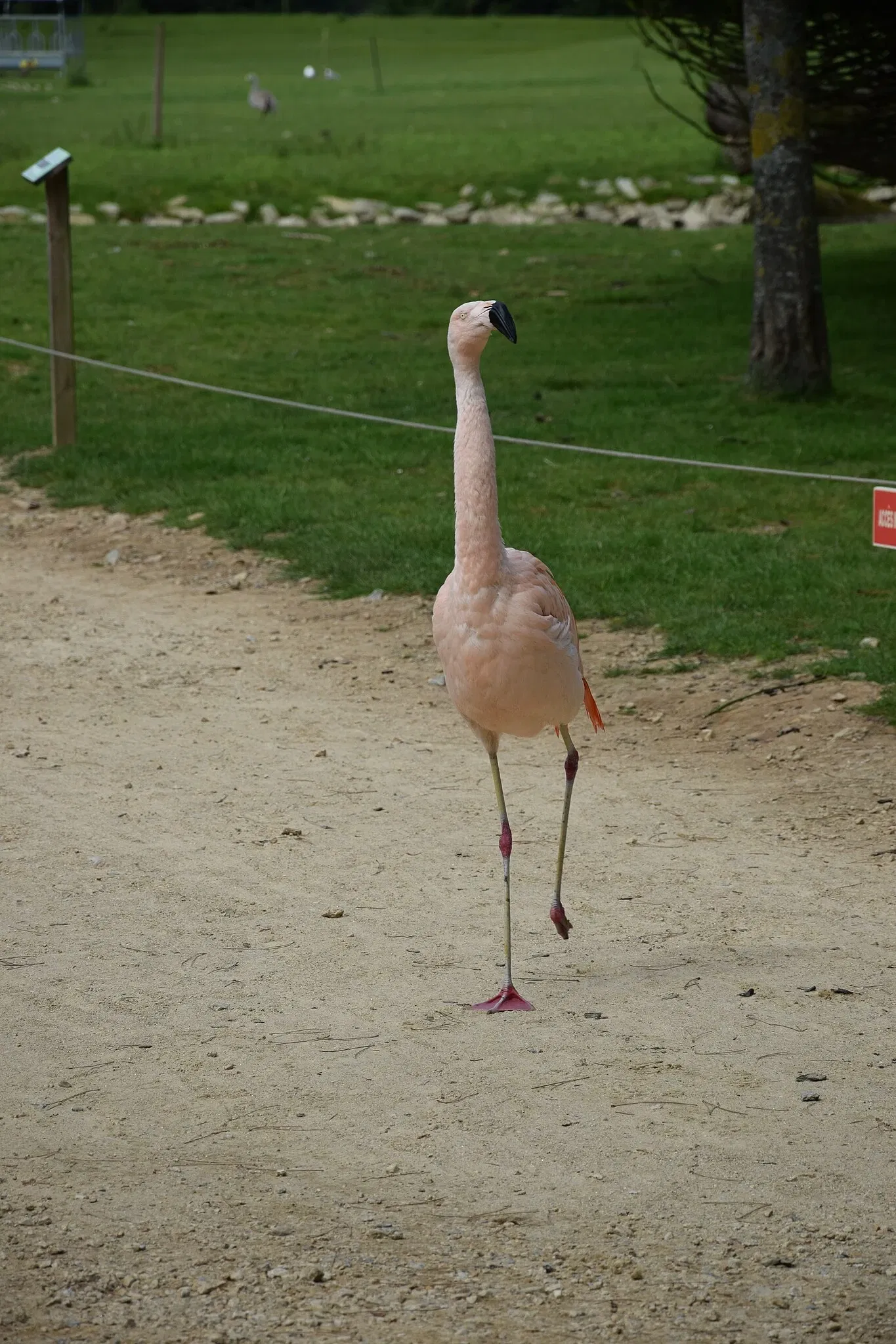 Parc animalier et botanique de Branféré
