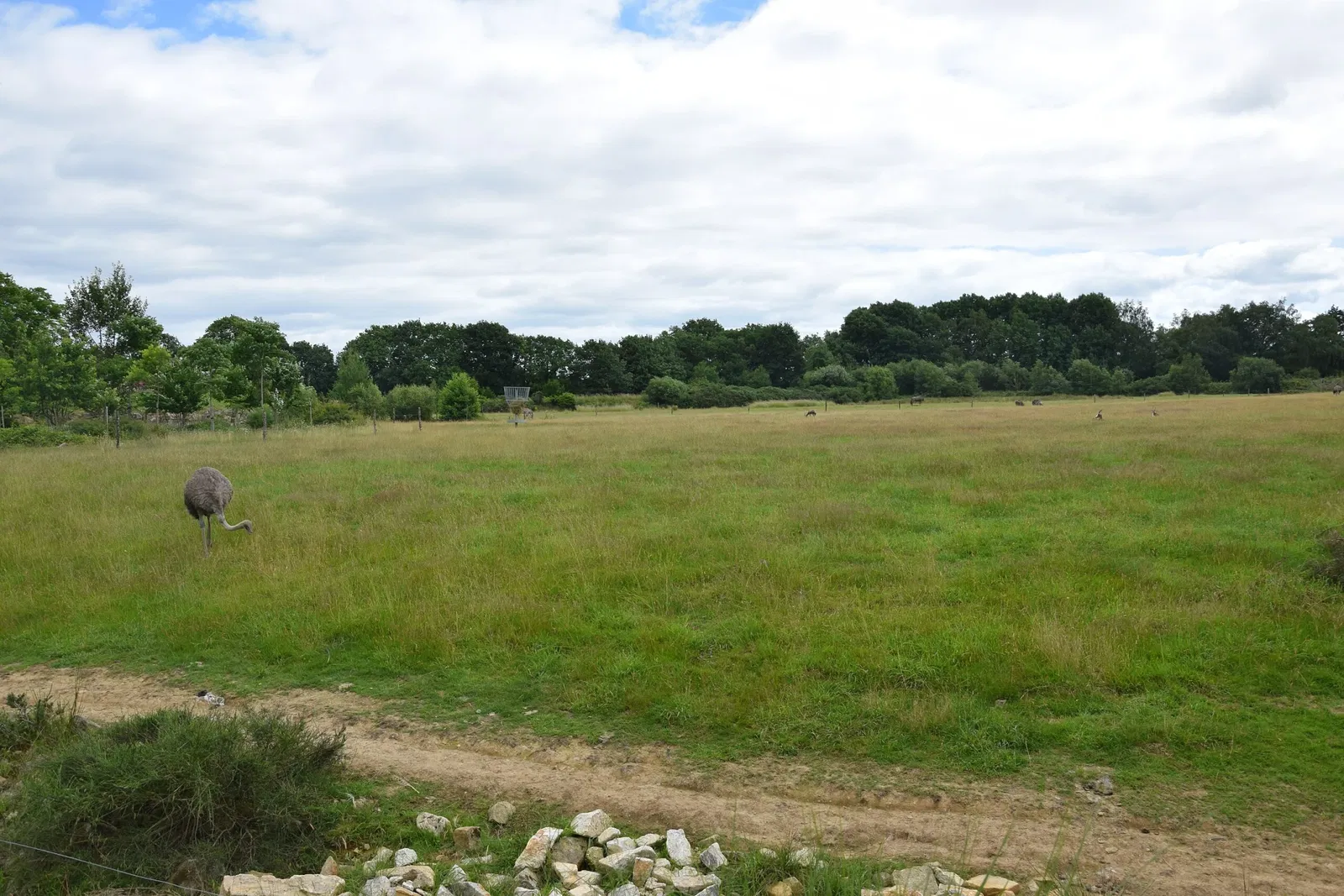 Parc animalier et botanique de Branféré