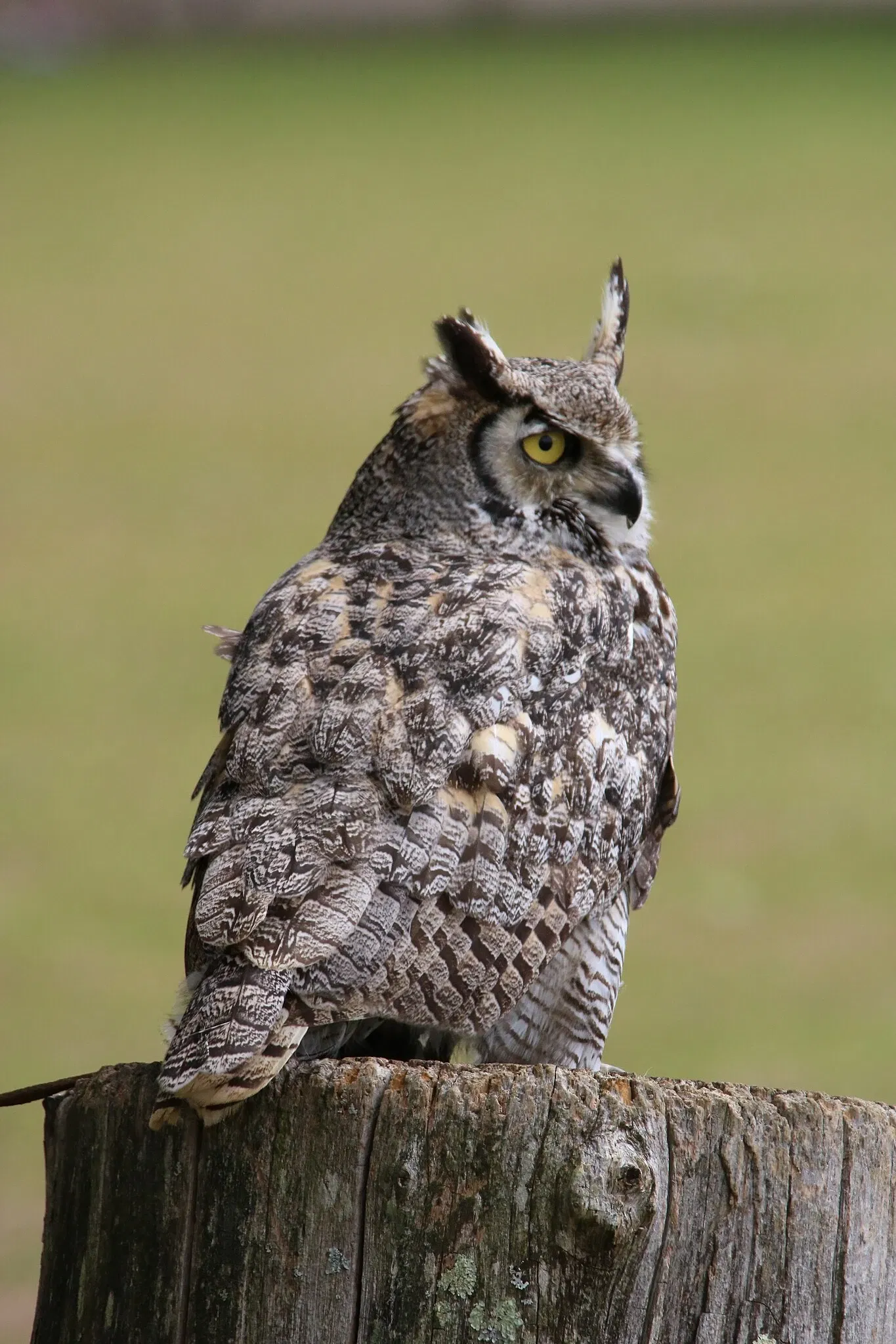 Zoo and Botanical Garden of Branféré