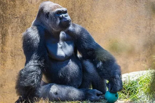 Zoológico de Santa Bárbara