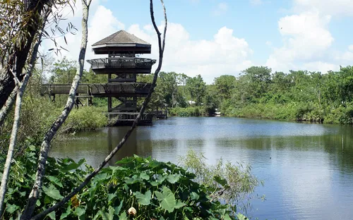 Gatorland Orlando