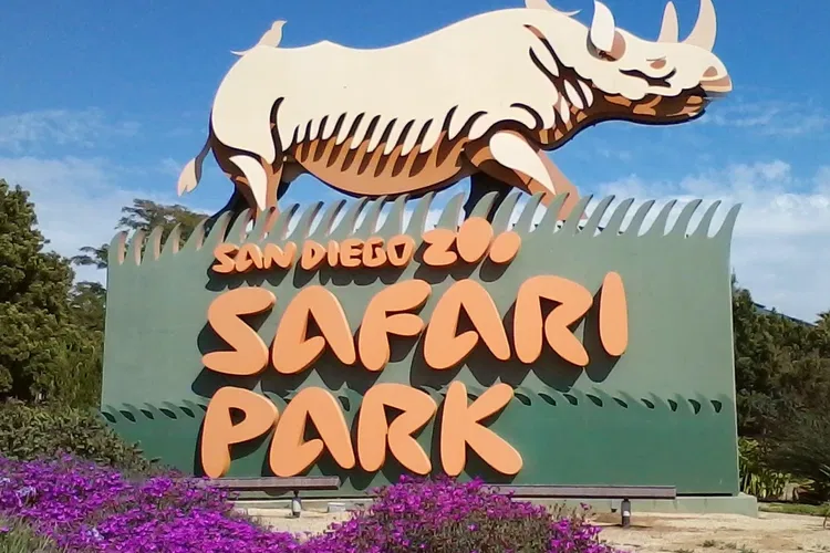 Zoo Safari Park di San Diego