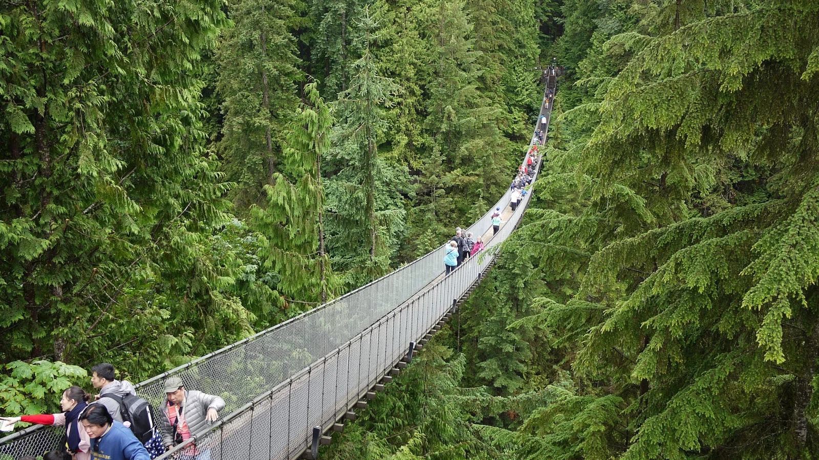 Capilano Suspension Bridge Park: Walking Among Giants in British Columbia