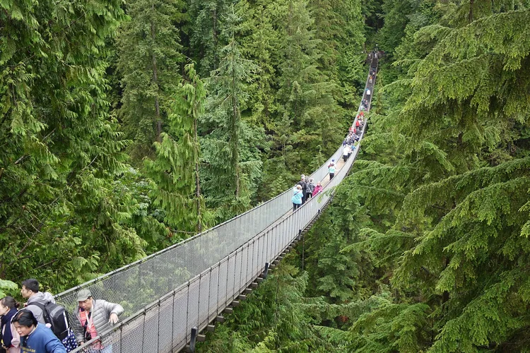 Capilano Suspension Bridge