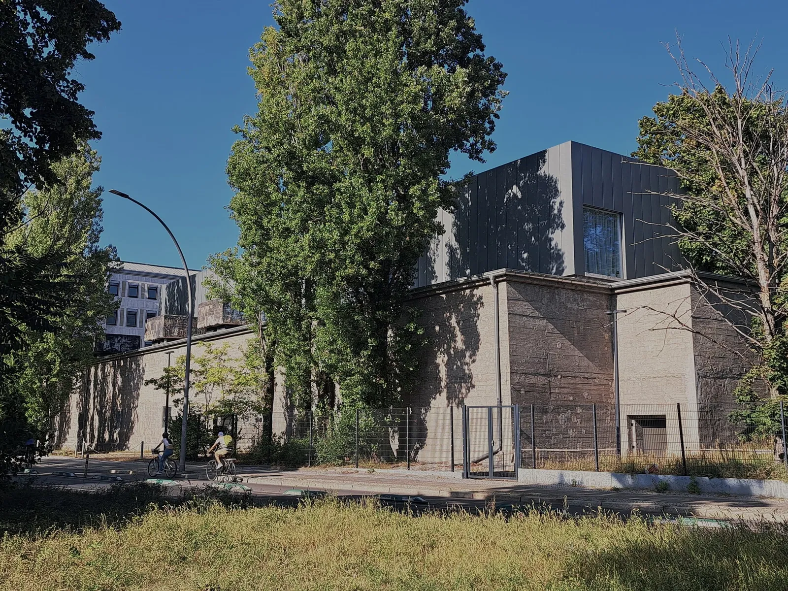 The Feuerle Collection