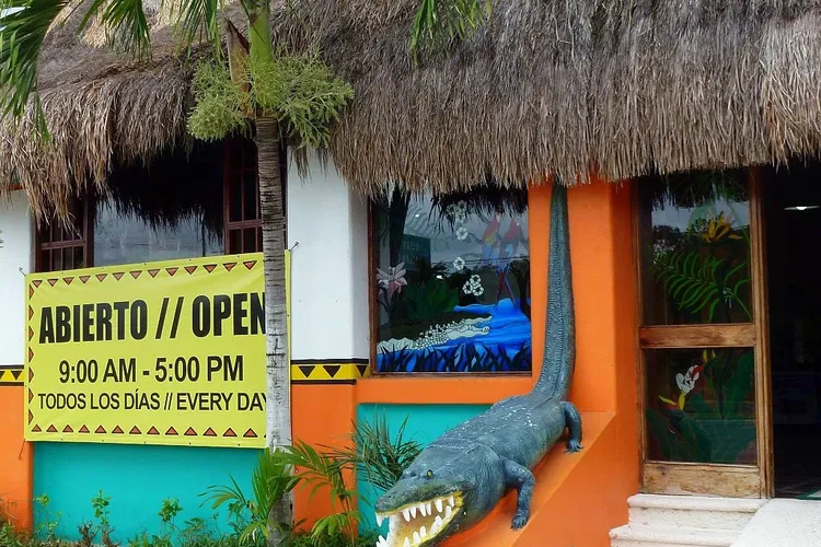 Croco Cun Zoo