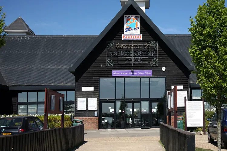 Colchester Zoo