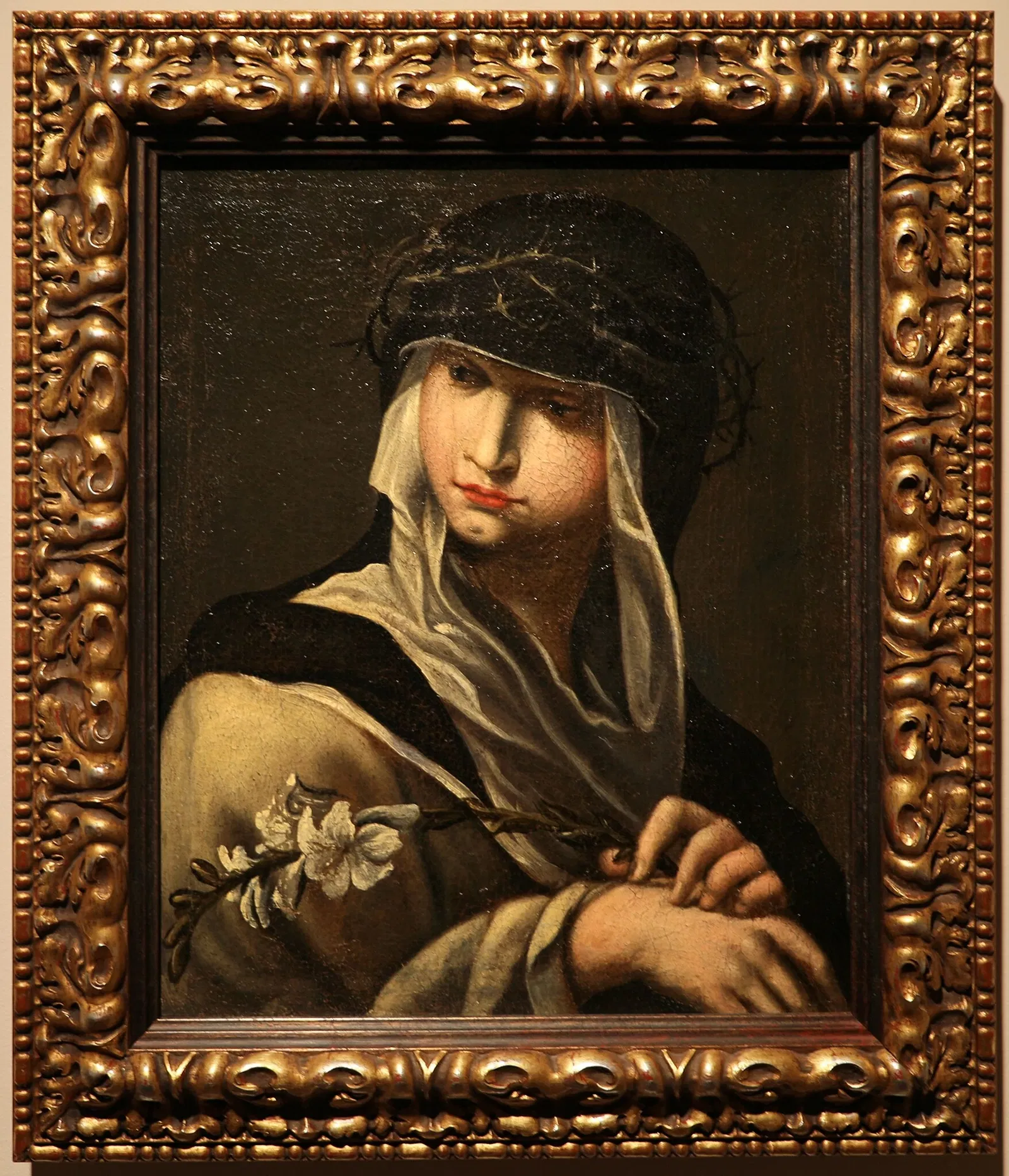 Museo Civico di Taverna