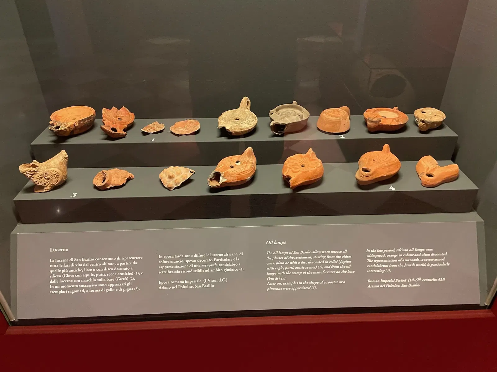 Museo Archeologico Nazionale di Adria