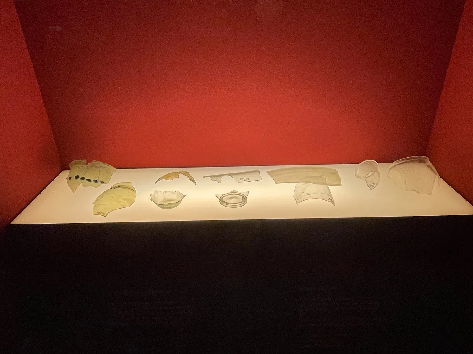 Museo Archeologico Nazionale di Adria