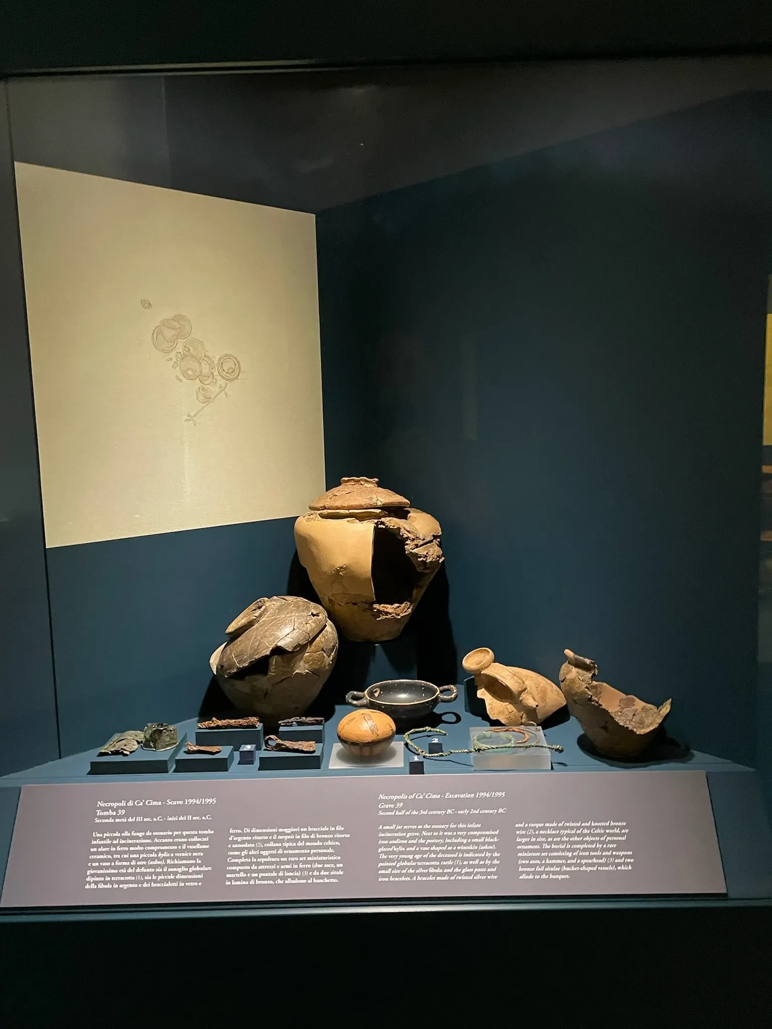 Museo Archeologico Nazionale di Adria