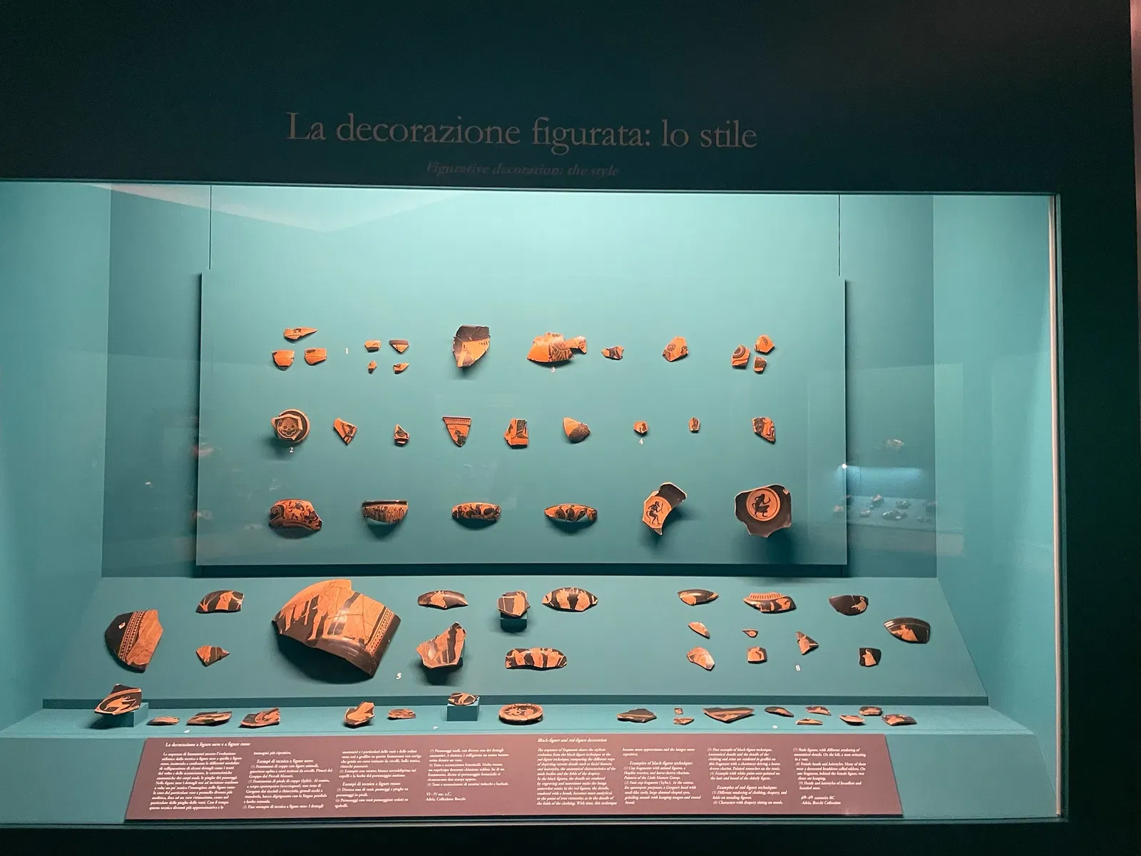 Museo Archeologico Nazionale di Adria