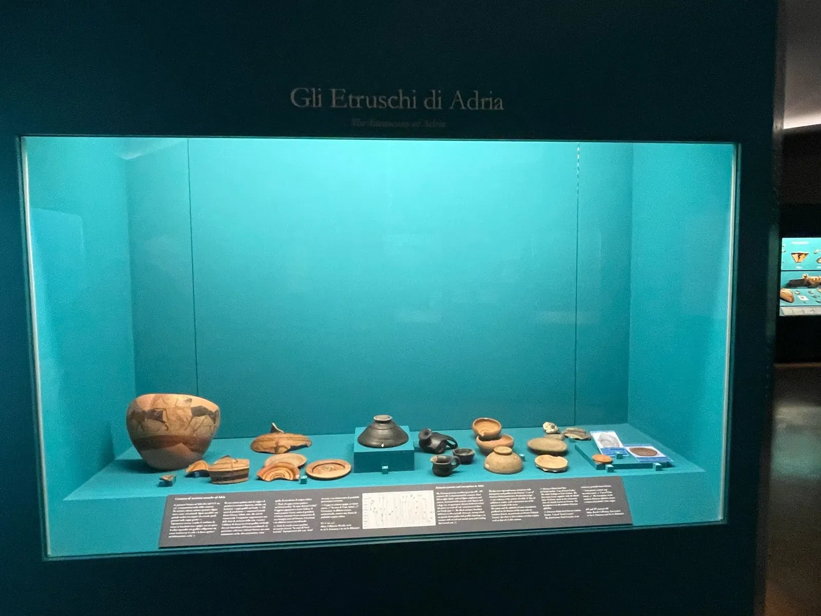 Museo Archeologico Nazionale di Adria