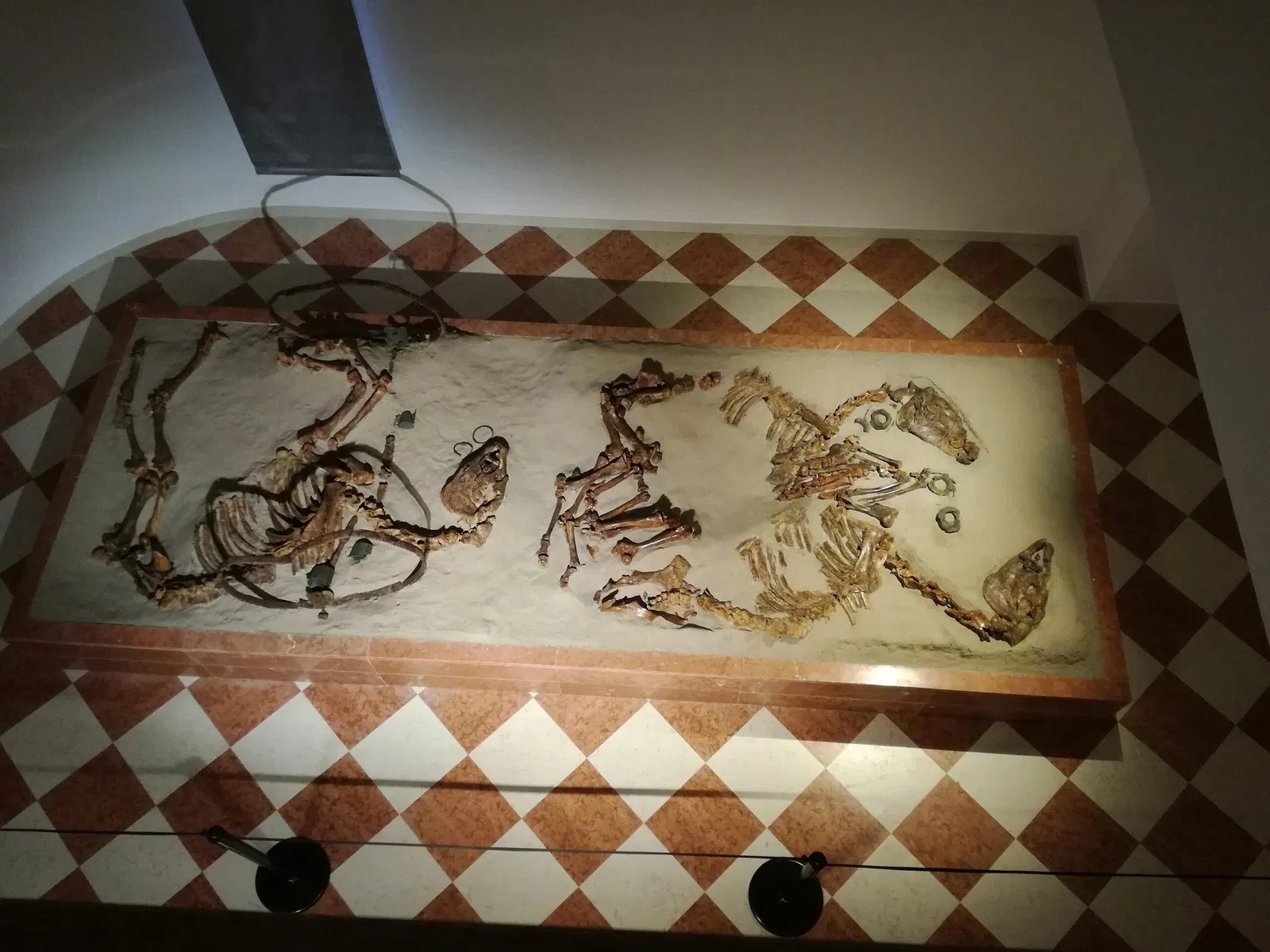 Museo Archeologico Nazionale di Adria