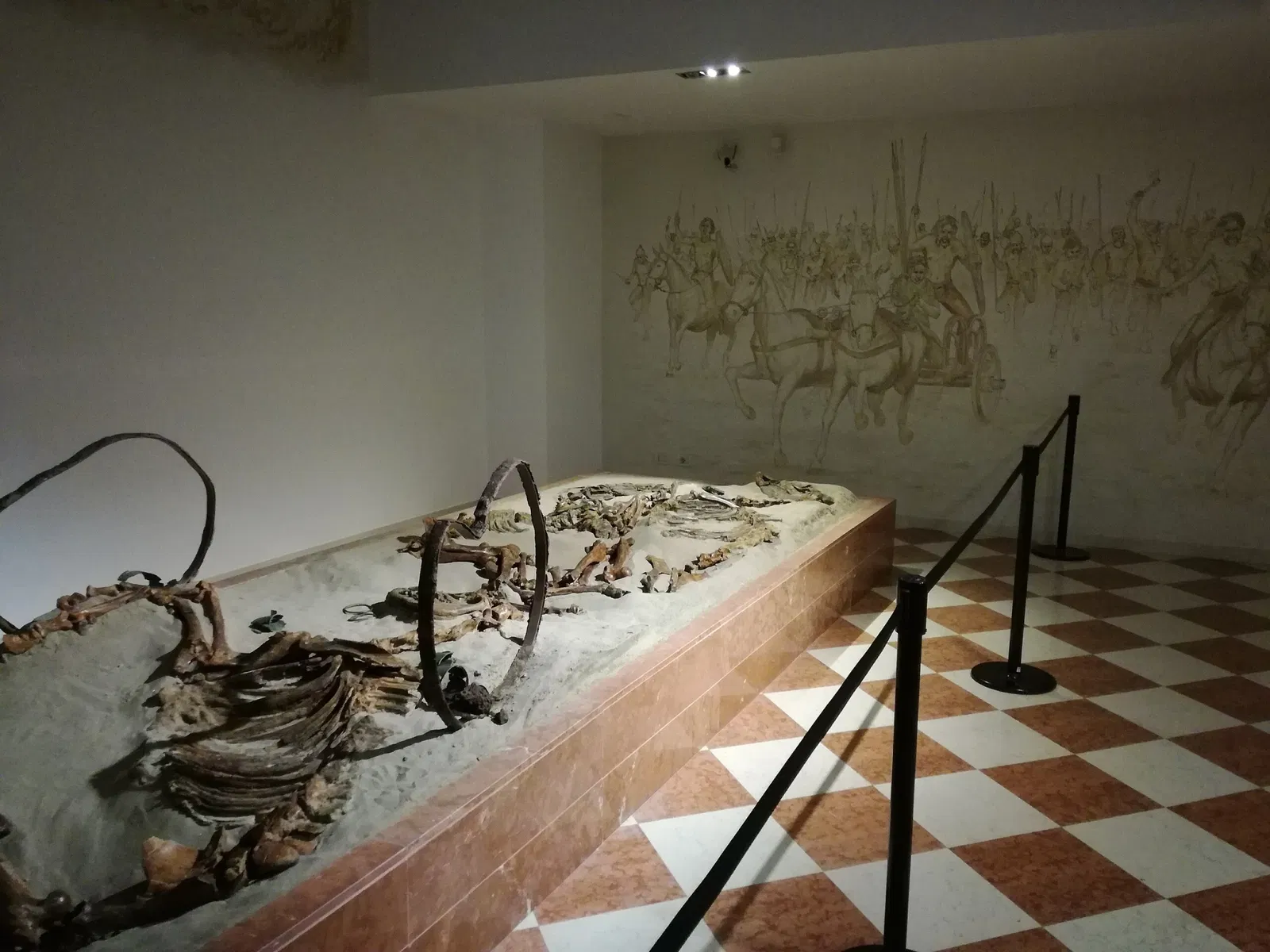 Museo Archeologico Nazionale di Adria