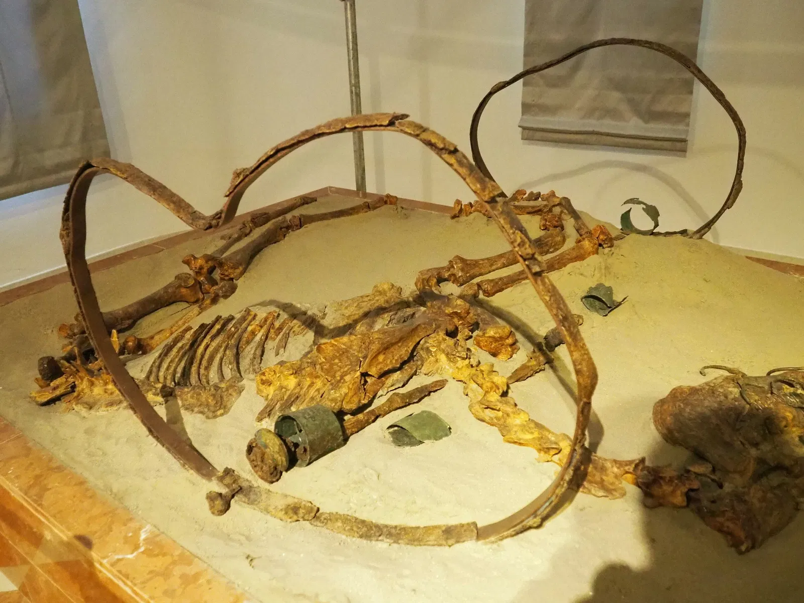 Museo Archeologico Nazionale di Adria