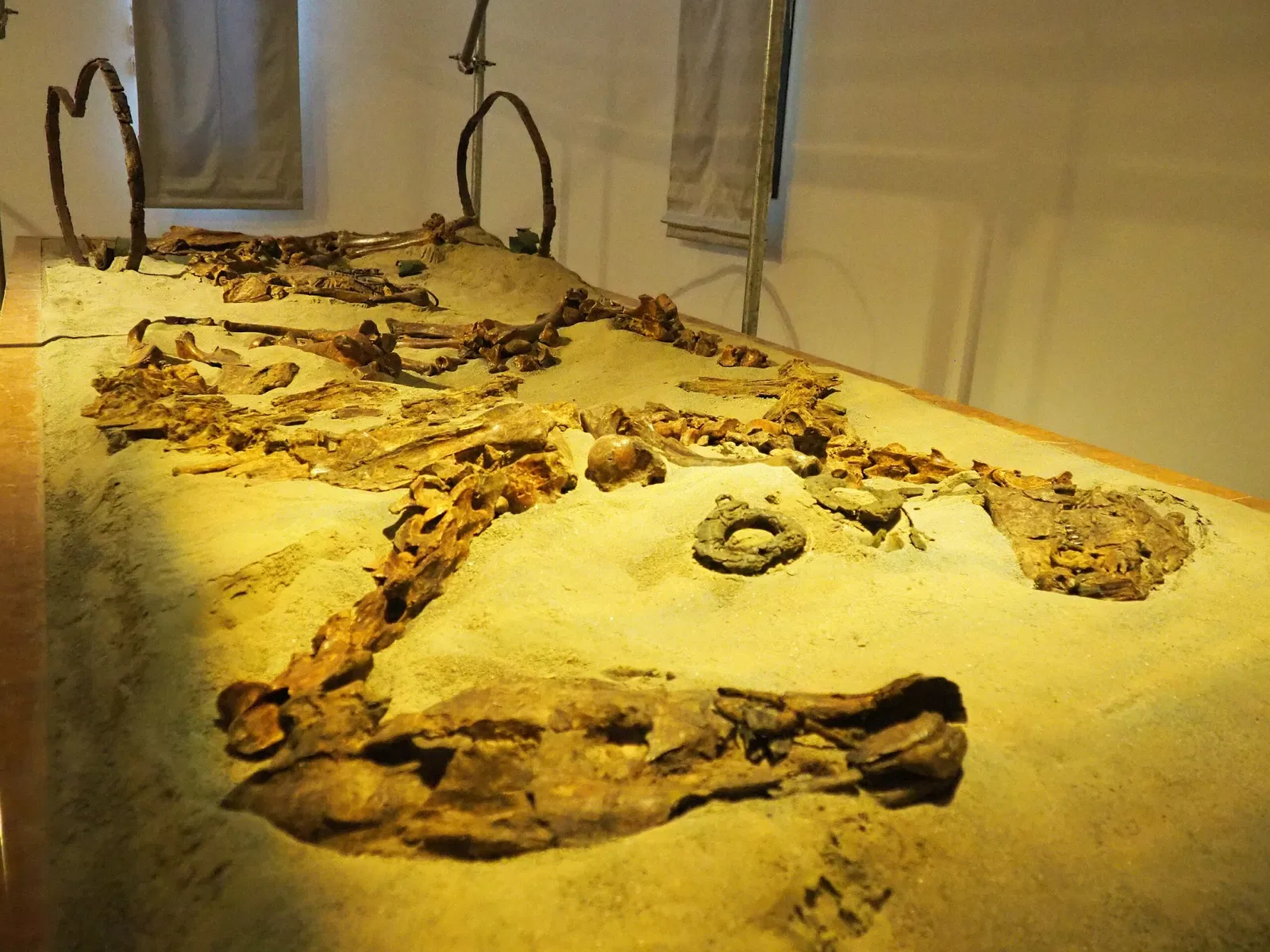 Museo Archeologico Nazionale di Adria