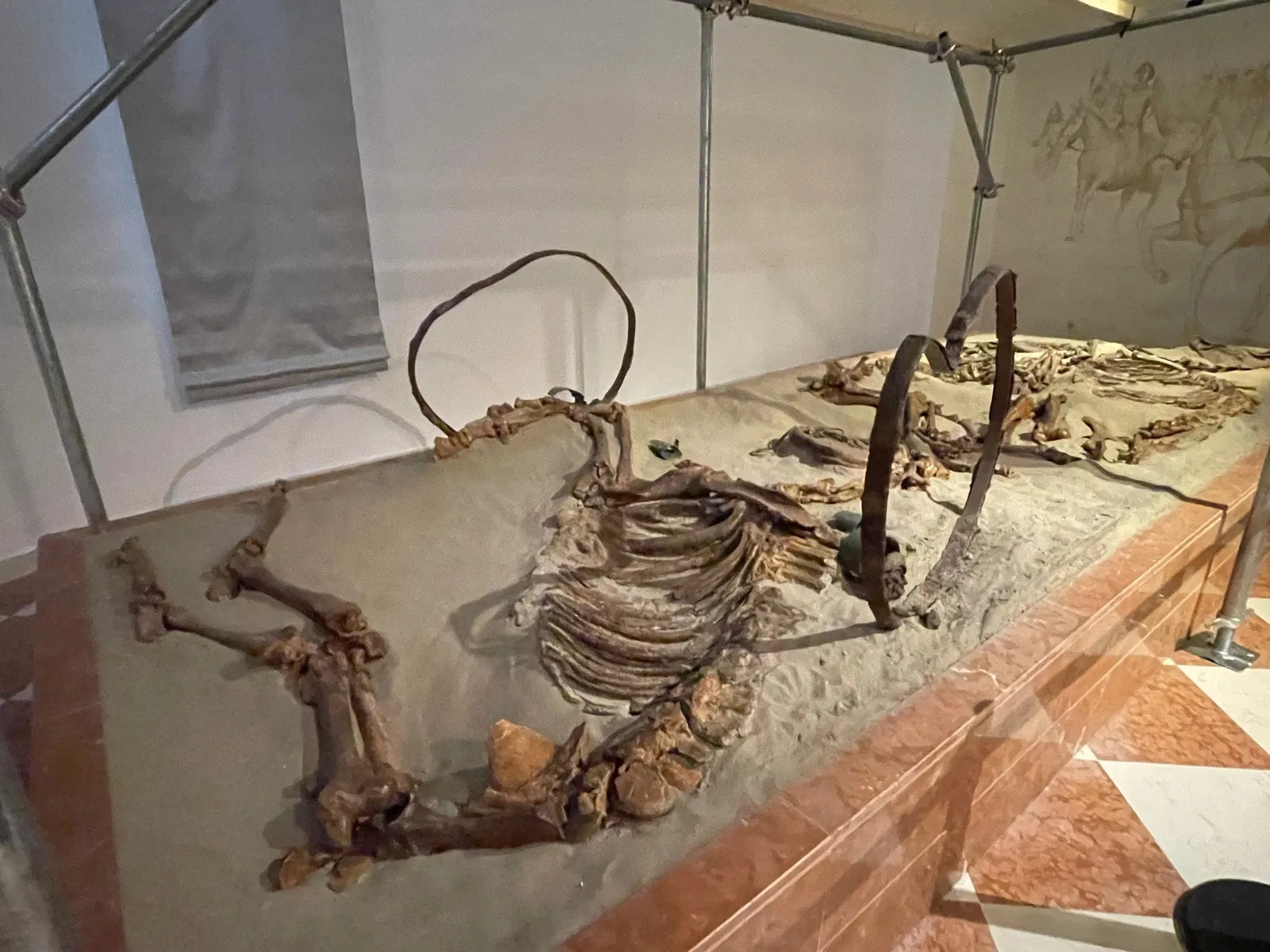 Museo Archeologico Nazionale di Adria