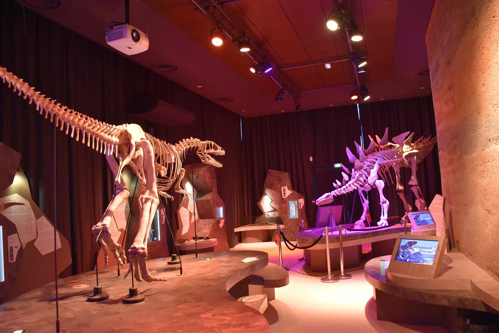 Paléospace l'Odyssée