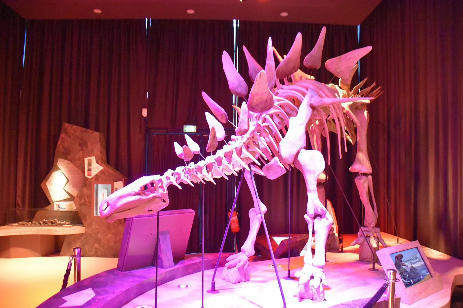 Paléospace l'Odyssée