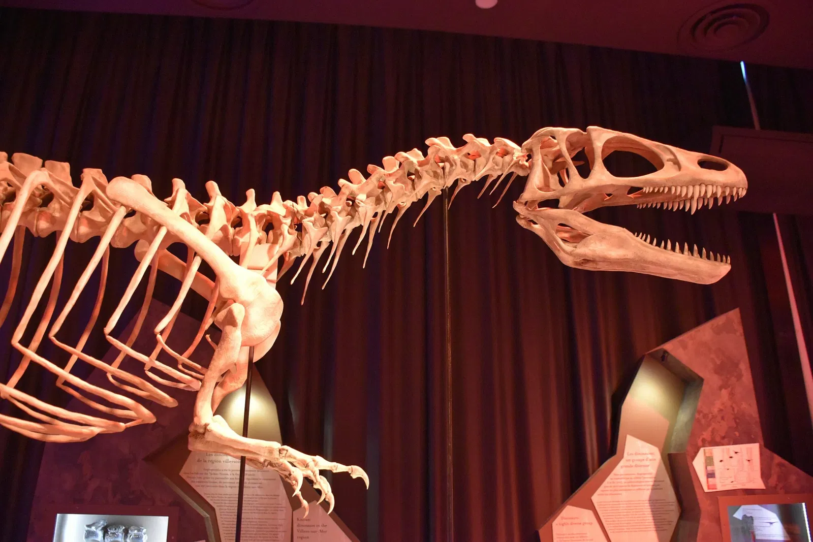 Paléospace l'Odyssée