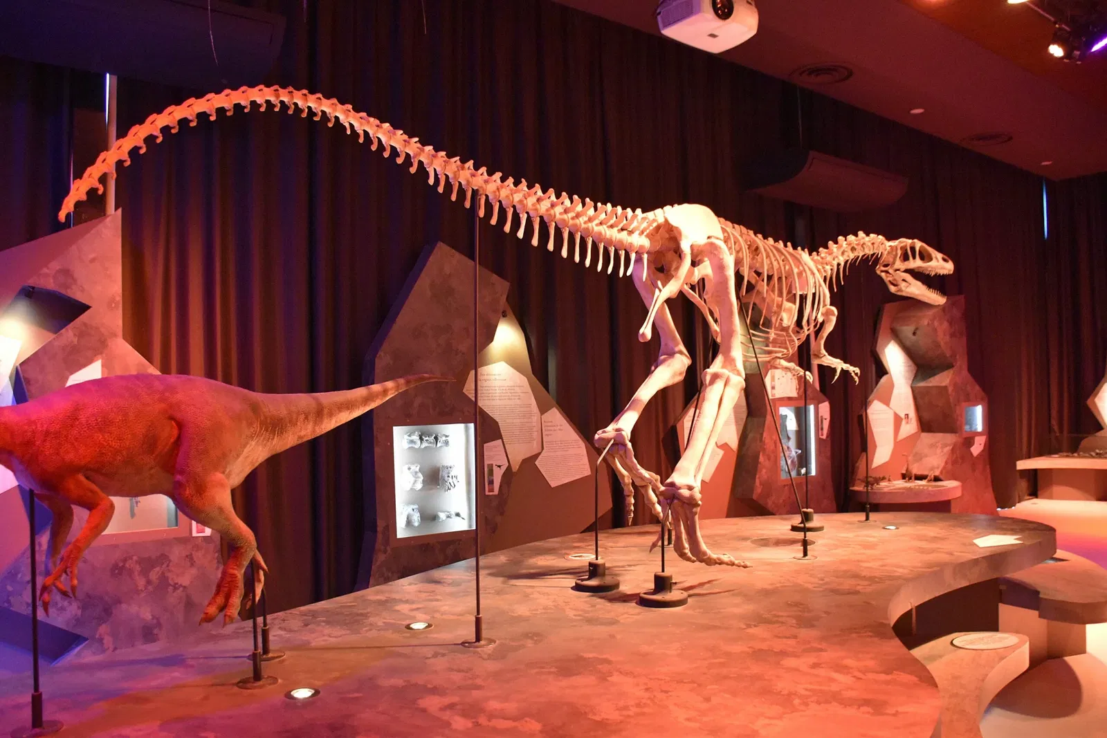 Paléospace l'Odyssée