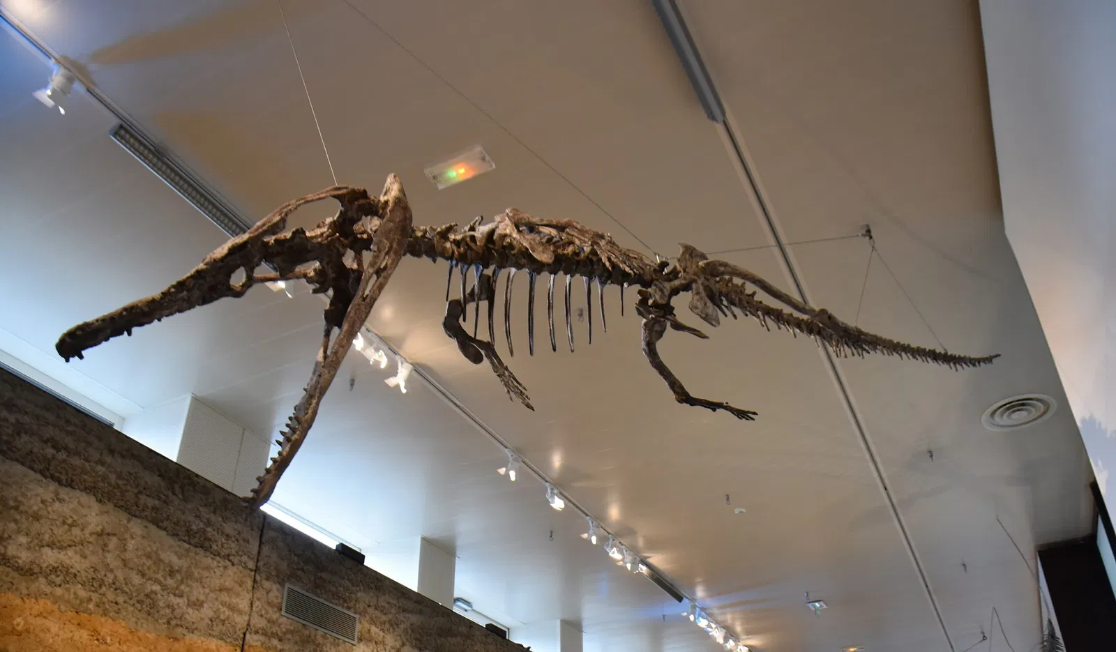 Paléospace l'Odyssée