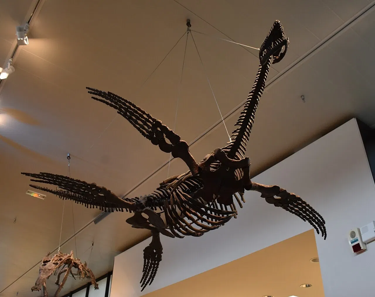 Paléospace l'Odyssée