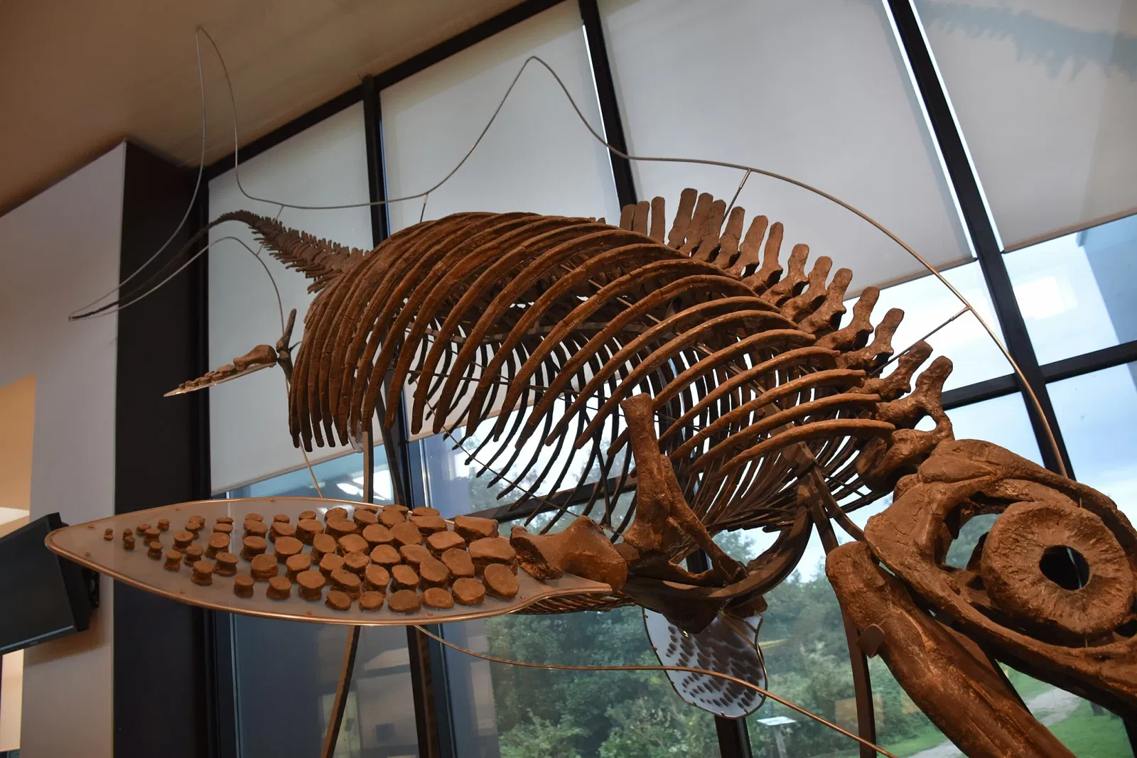 Paléospace l'Odyssée