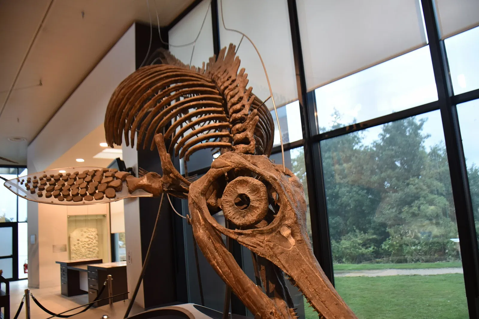 Paléospace l'Odyssée