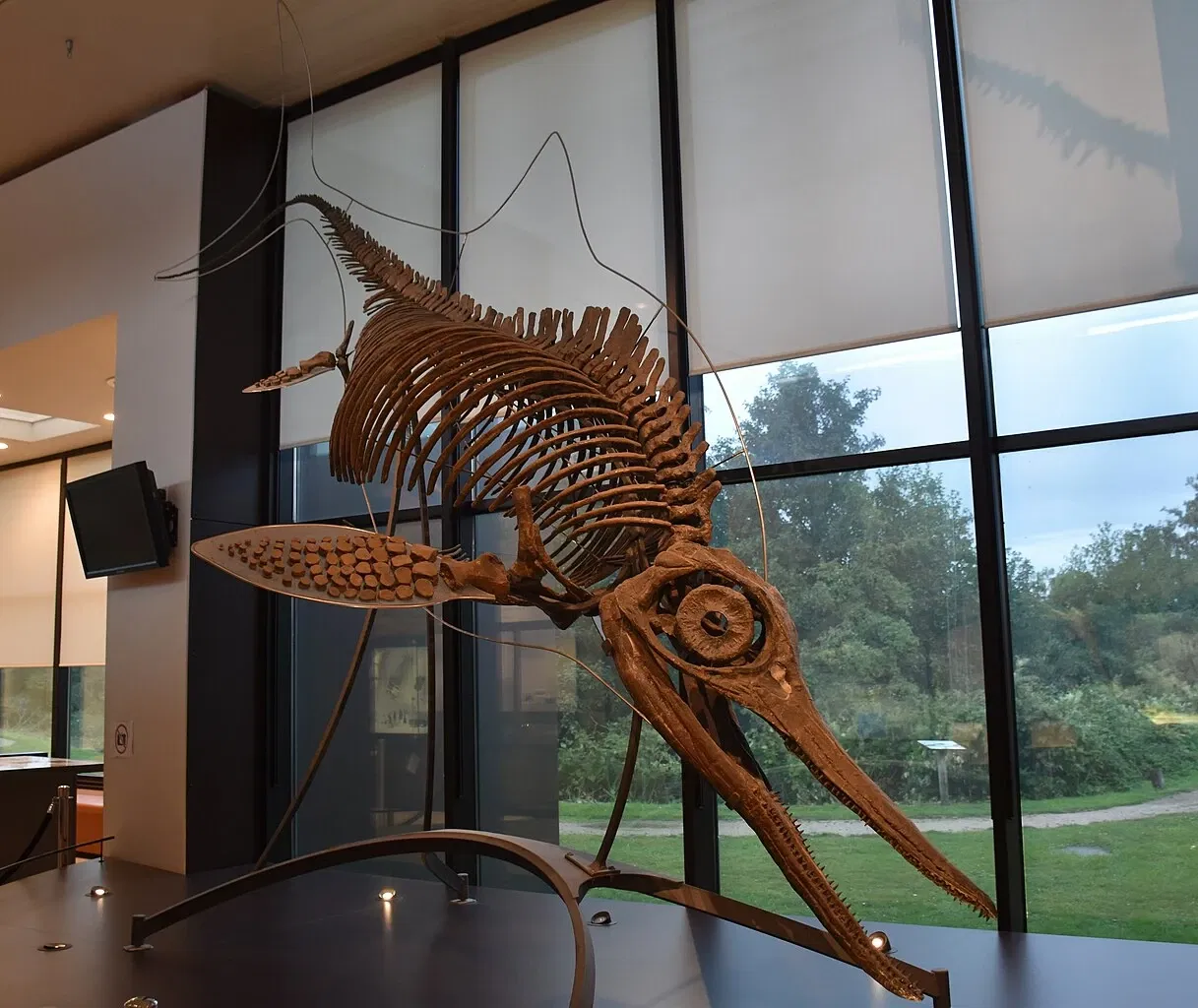 Paléospace l'Odyssée